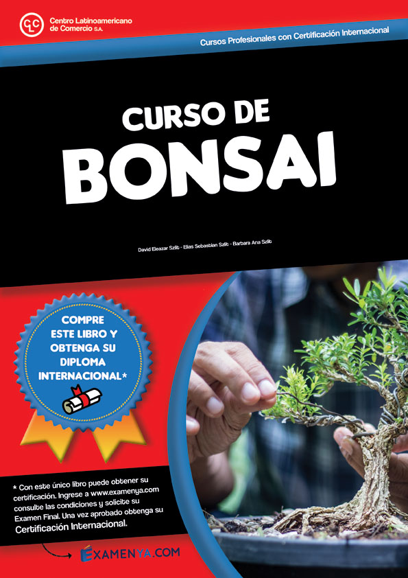 artería Opiáceo llegada Bonsai – Centro Latinoamericano de Comercio